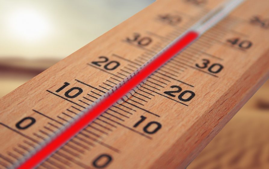 rekord temperatury w grudniu ciepły nowy rok