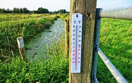 Ogromne wahania temperatury w Holandii