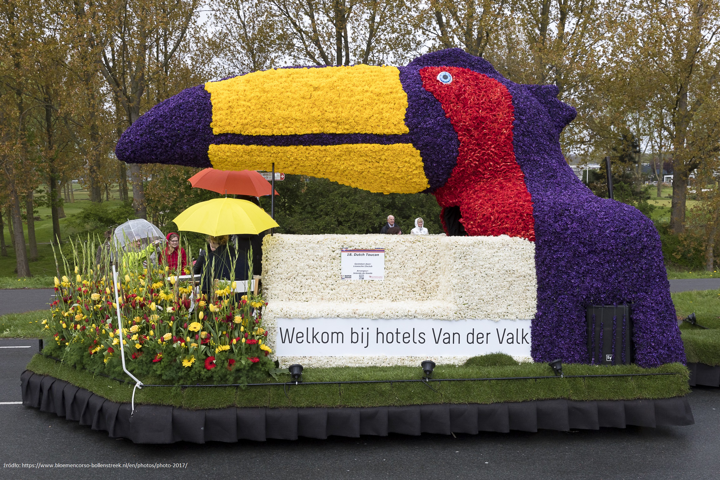 parada kwiatów - wiadomości z Holandii 1