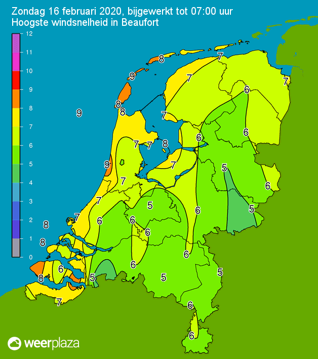 siła wiatru najnowsze wiadomości z Holandii