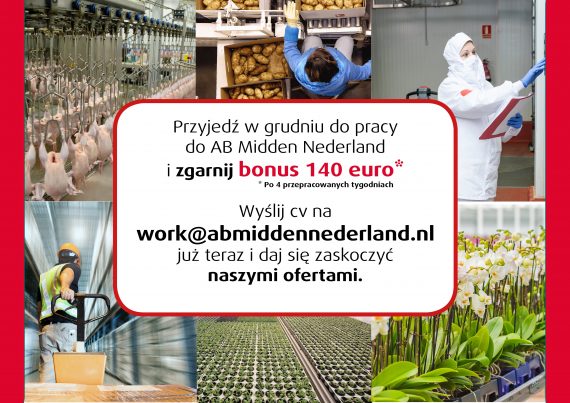 Szukasz pracy w Holandii? Znajdziesz ją na GlosPolski.nl