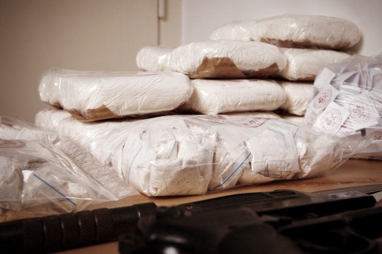 kokaina o wartości 600 milionów euro zarekwirowana przez celników