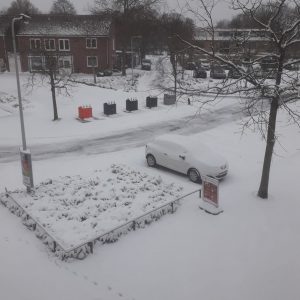 Zima NL 2021