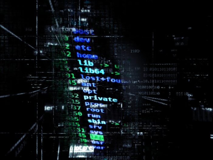 Holandia pada ofiarą ataku hakerów