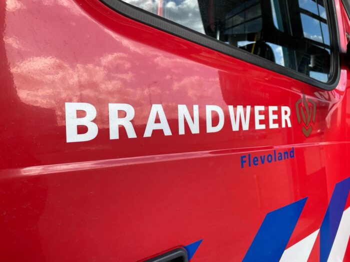 Pożar na wodzie w De Biesbosch