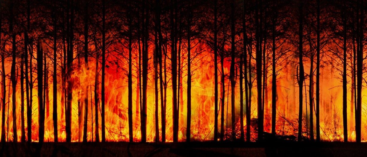 Groźba pożarów lasów w Niderlandach