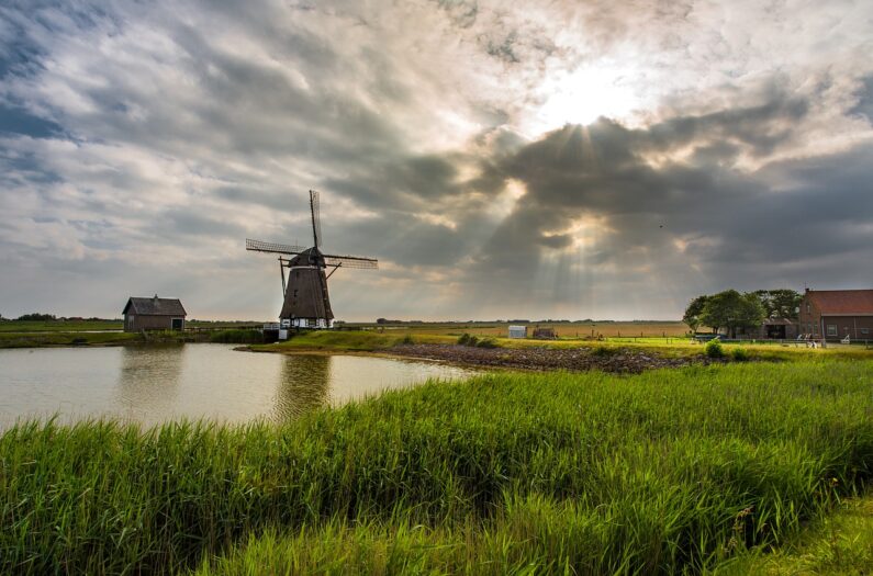 Holenderski kanał zanieczyszczony rakotwórczą substancją