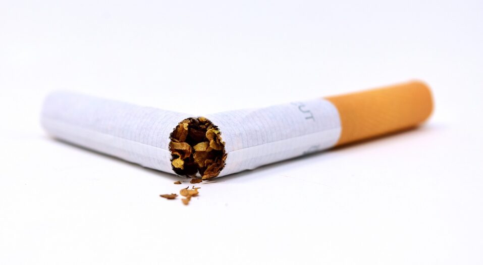 Zakaz papierosów z filtrem w Holandii?