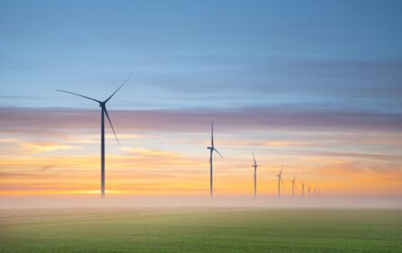Królestwo Niderlandów osiąga cel klimatyczny dotyczący elektrowni wiatrowych