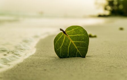 Polacy pokazali za dużo na plaży Noord Aa w Zoetermeer