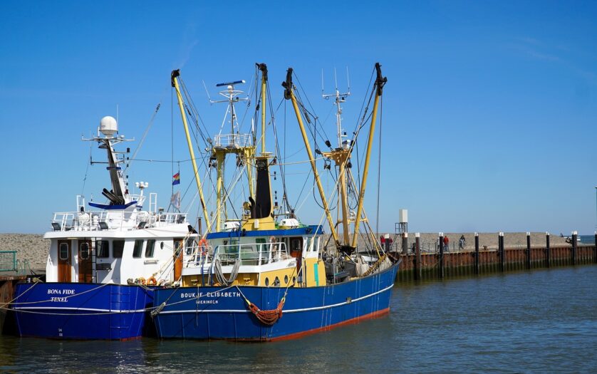 W Holandii nie opłaca się łowić