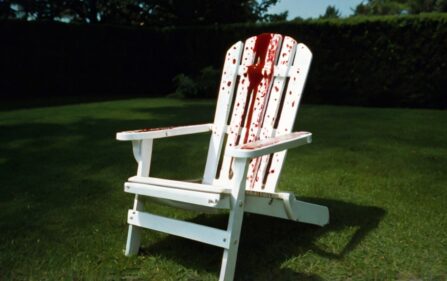 Ciężko ranny Polak na krześle w ogrodzie, w Westdijk