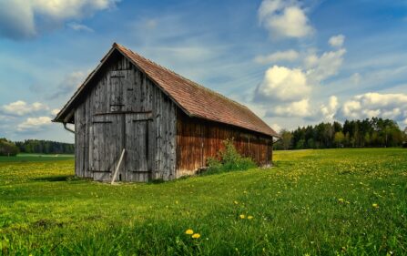 Propozycja nie do odrzucenia dla holenderskich farmerów