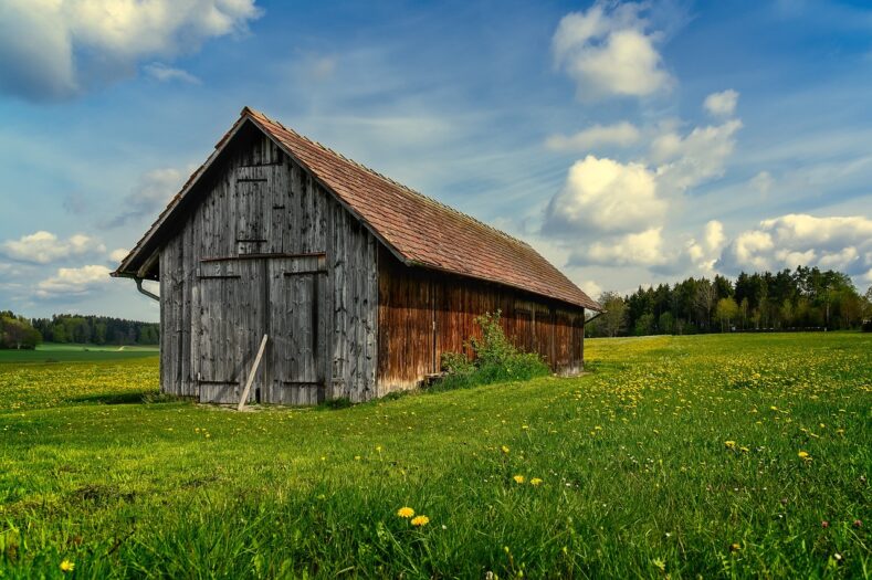 Propozycja nie do odrzucenia dla holenderskich farmerów