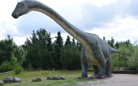 Holenderski stażysta odkrył nowy gatunek dinozaura