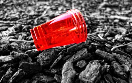 Obowiązkowe opłaty za plastikowe opakowania