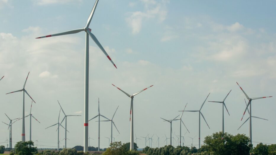 Trump chciał zatrzymać wiatraki. Sąd mówi: NIE!